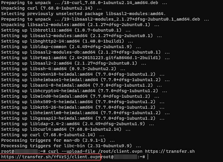 Как установить OpenVPN на Linux для использования ChatGPT